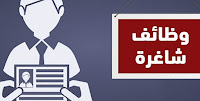 14 شاغر من مختلف المجالات للعمل لدى شركة تجارية ( اداريين و HR / محاسبين و كاشير / موظفين / مدخلي بيانات و غيرهم )