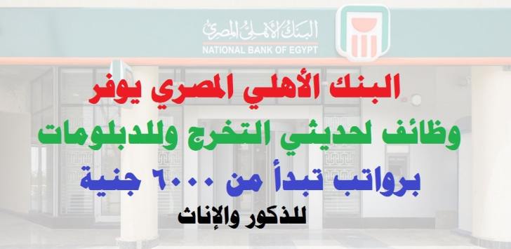 وظائف البنك الأهلي المصري ( National Bank ) لحديثي التخرج وللدبلومات